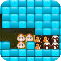 Kittygram - Puzzle game icon