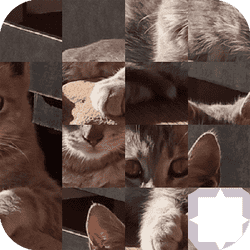 Cat Puzzle - Arcade game icon