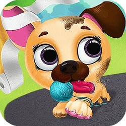 Cute Pet Friends - Junior game icon