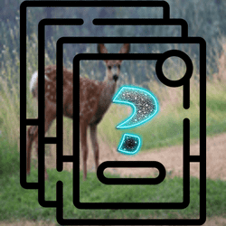 Deer Memory Match - Puzzle game icon