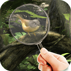 Fairy Woods Hidden Objects - Puzzle game icon