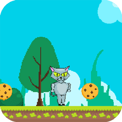 Kim Cat - Adventure game icon