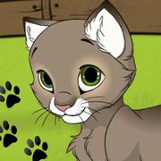 My Kitten - Girls game icon