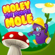 Purple Mole - Puzzle game icon